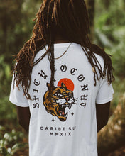 Load image into Gallery viewer, Spicy Coconut MMXIX
